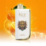 relx vape australia - Professional Guide and Review